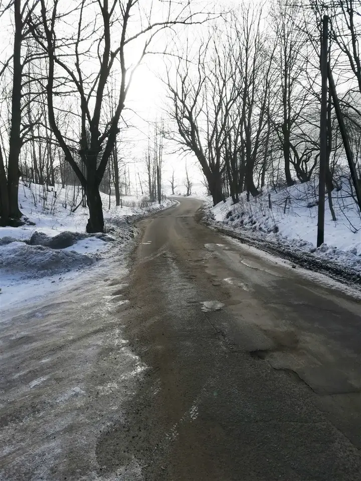 Zdjęcie 9