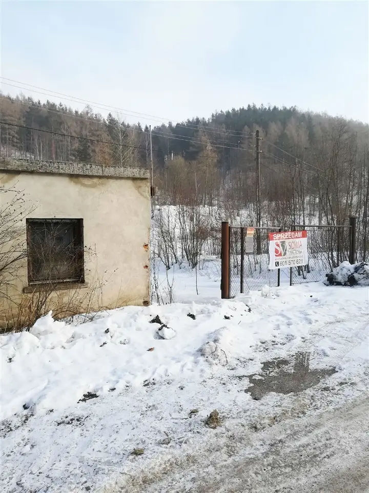 Zdjęcie 10