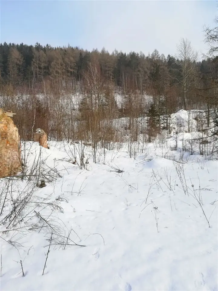 Zdjęcie 12