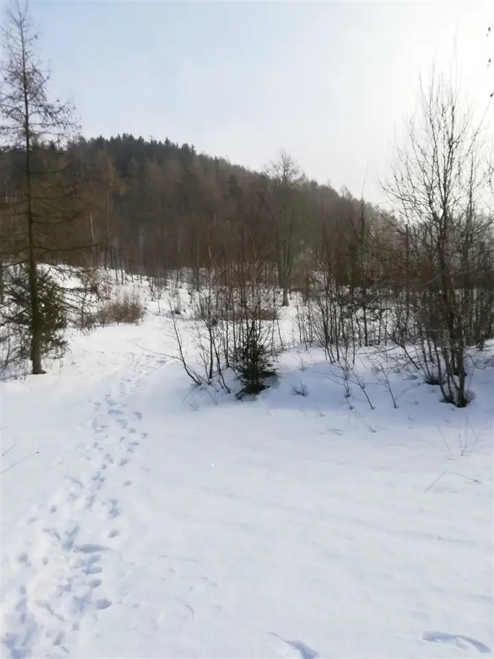 Zdjęcie 13