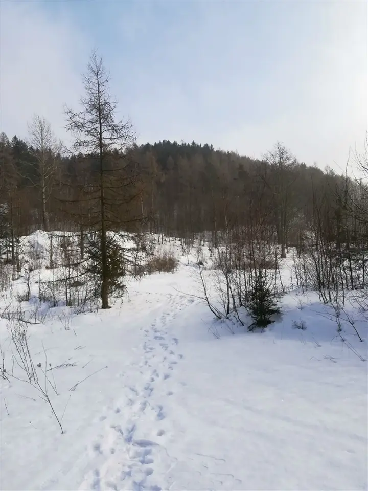 Zdjęcie 14