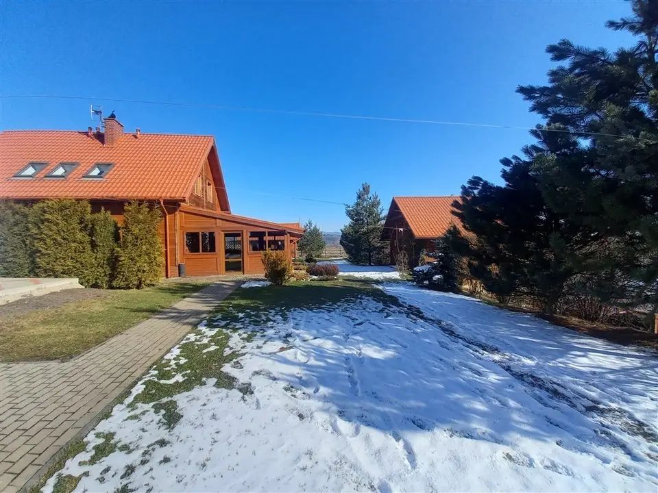 Zdjęcie 11