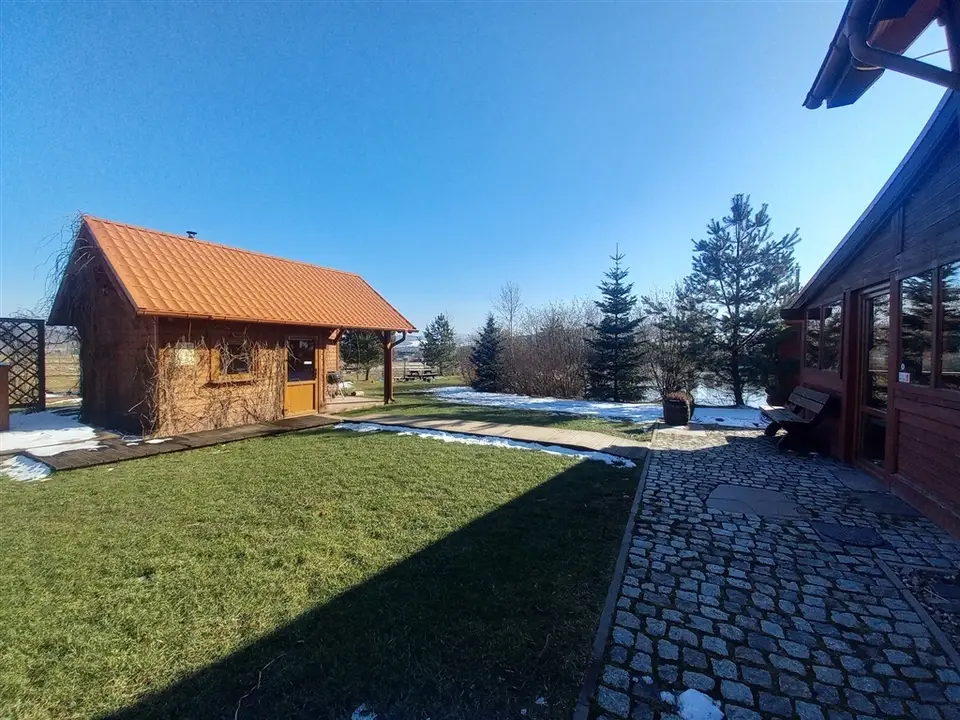 Zdjęcie 12