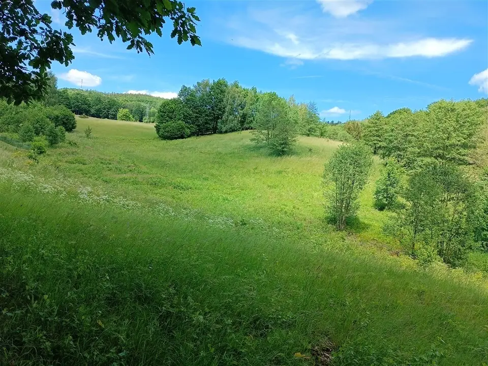 Działka budowlana 1 368 m², Olszyniec