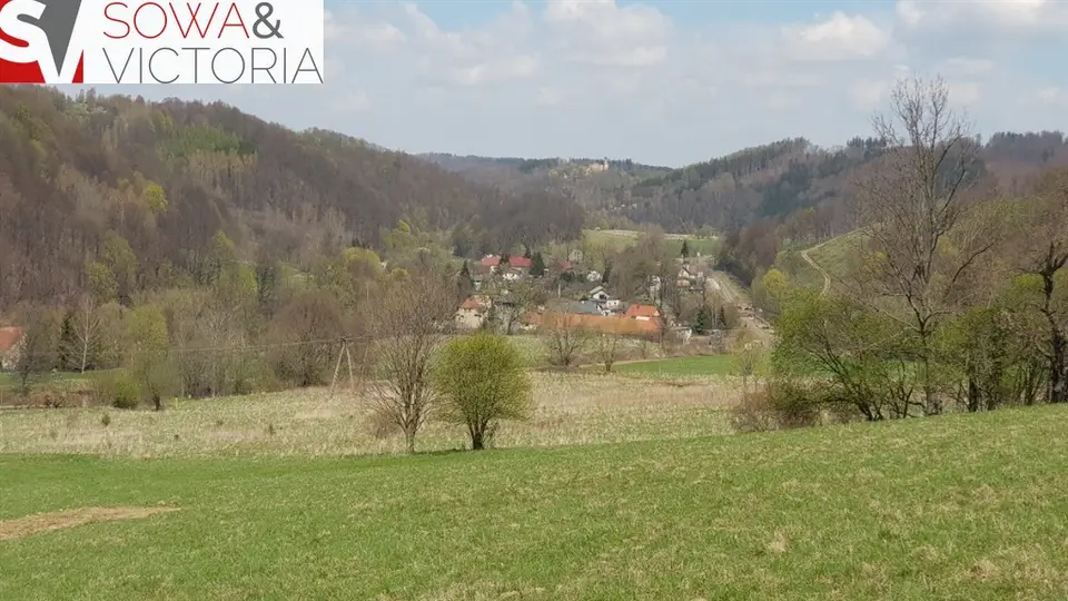 Zdjęcie 5