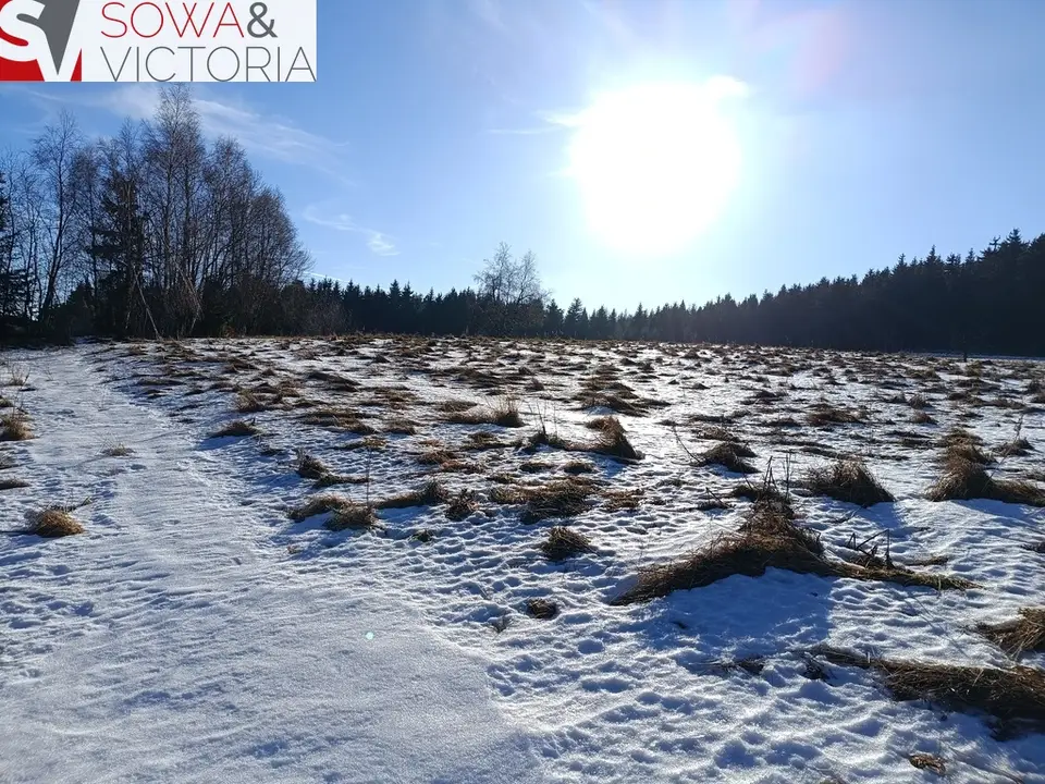 Zdjęcie 6