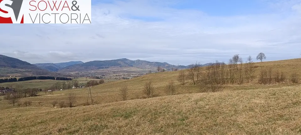 Działka budowlana 1 041 m², Głuszyca