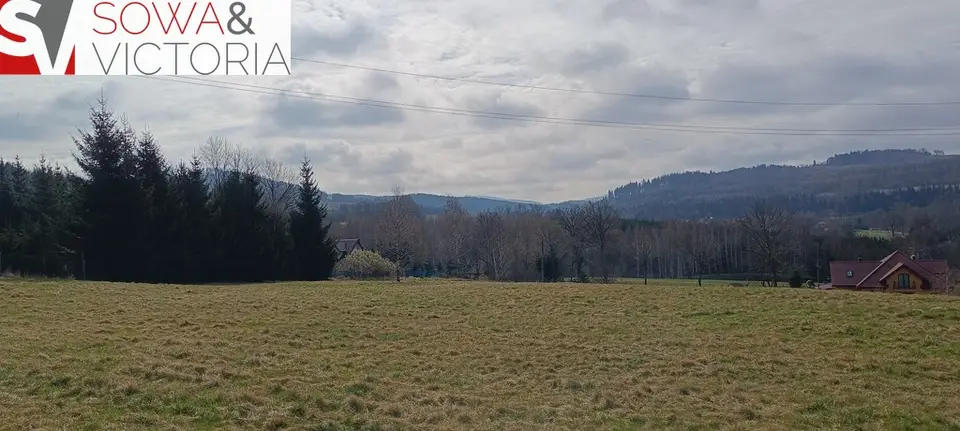Zdjęcie 5
