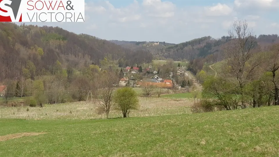 Zdjęcie 10