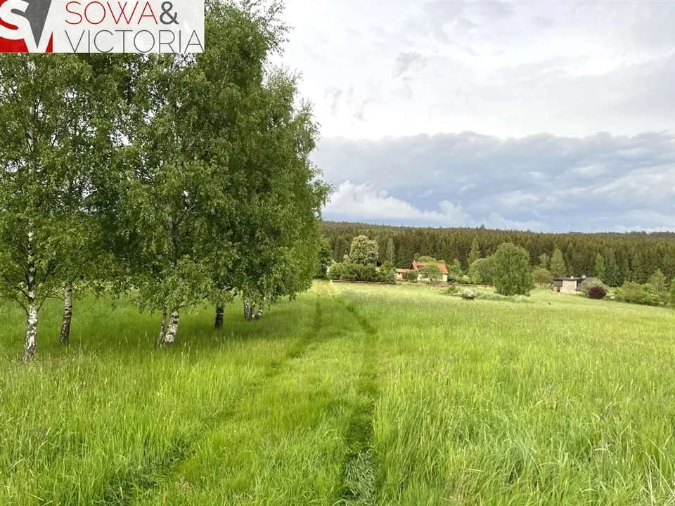 Działka budowlana 3 173 m², Bartnica