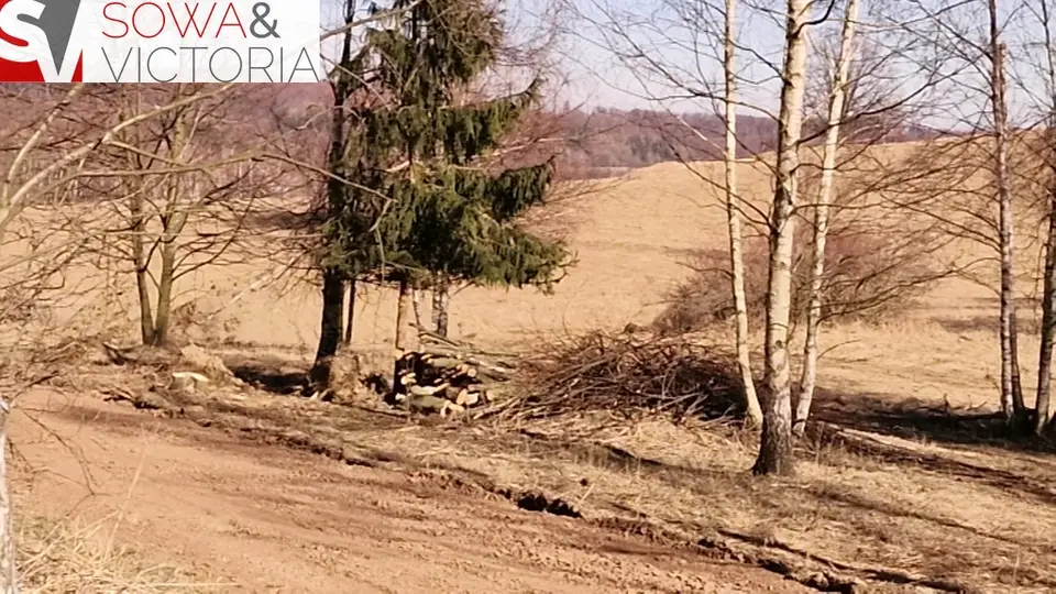 Zdjęcie 8