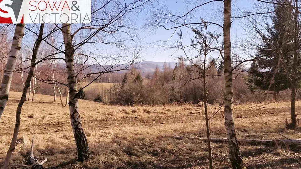 Zdjęcie 10