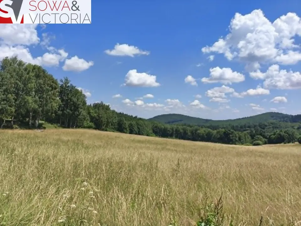 Działka budowlana 3 000 m², Michałkowa