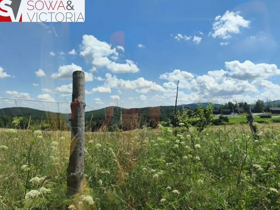 Zdjęcie 5