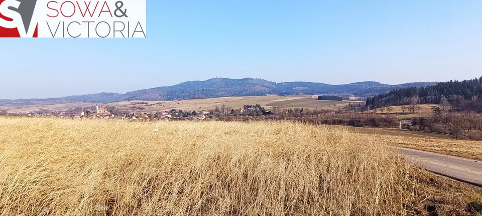 Zdjęcie 2