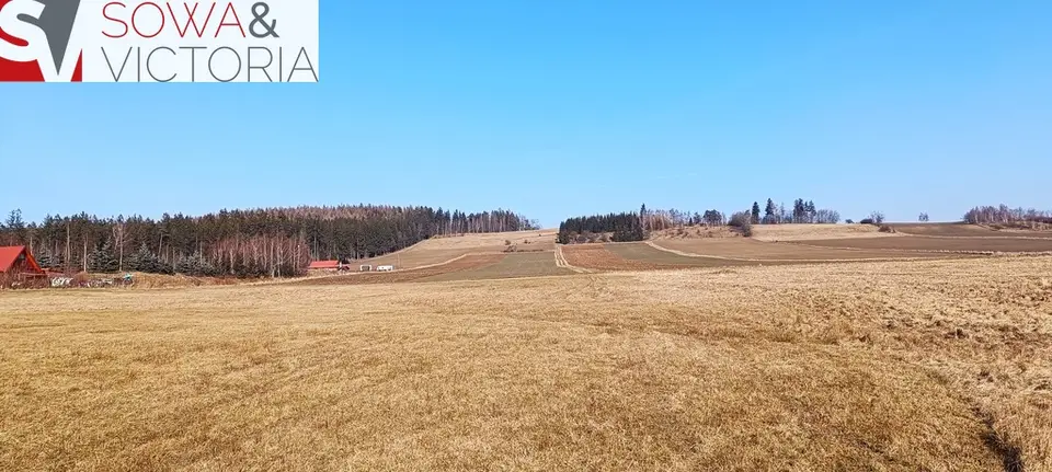 Zdjęcie 3