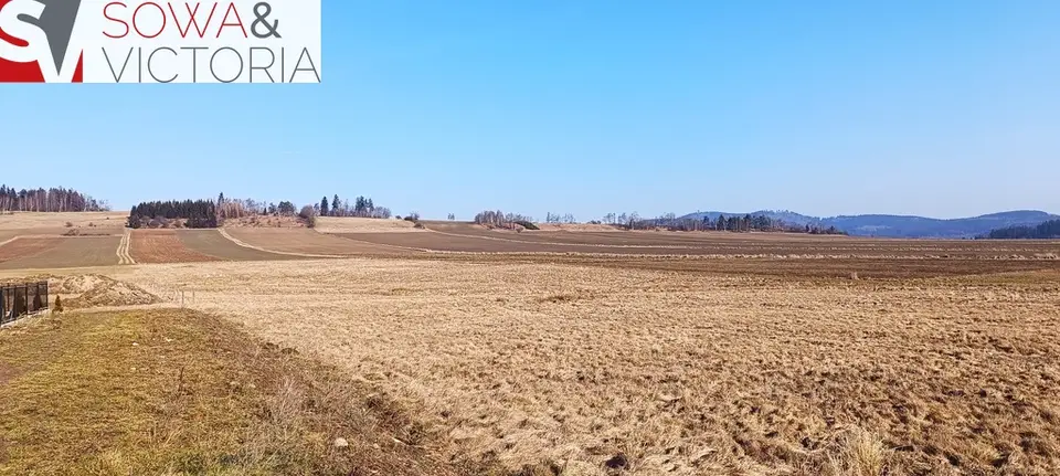 Zdjęcie 4