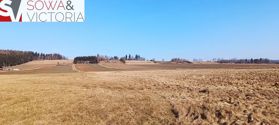 Zdjęcie 5