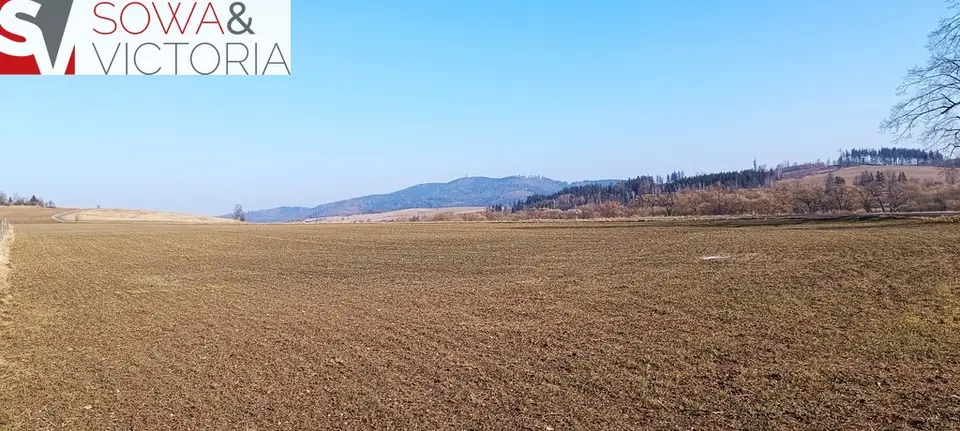 Zdjęcie 6