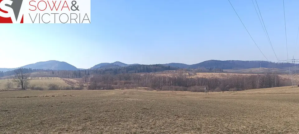 Zdjęcie 2