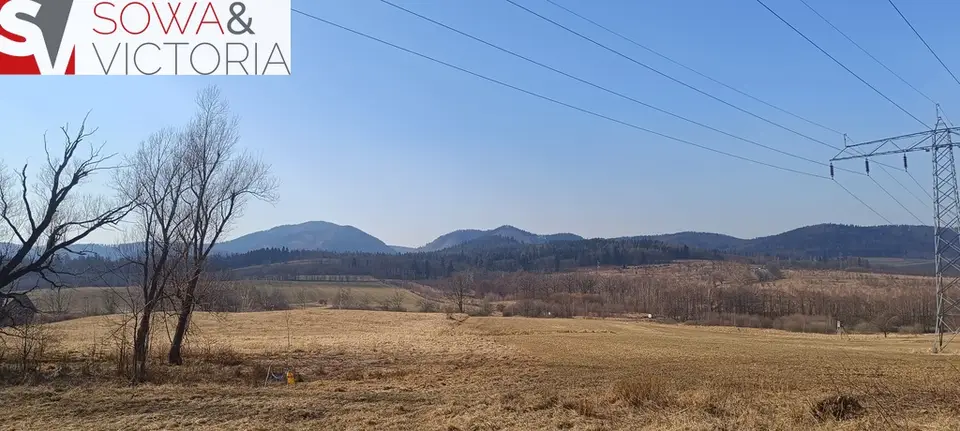 Zdjęcie 3