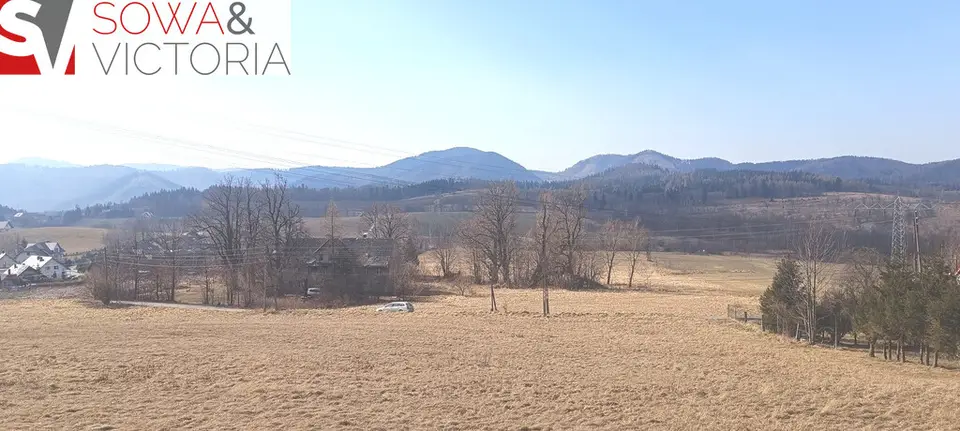 Zdjęcie 4