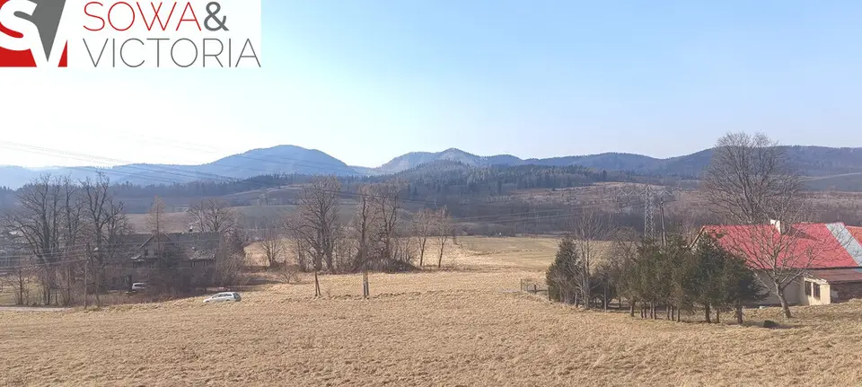 Zdjęcie 5