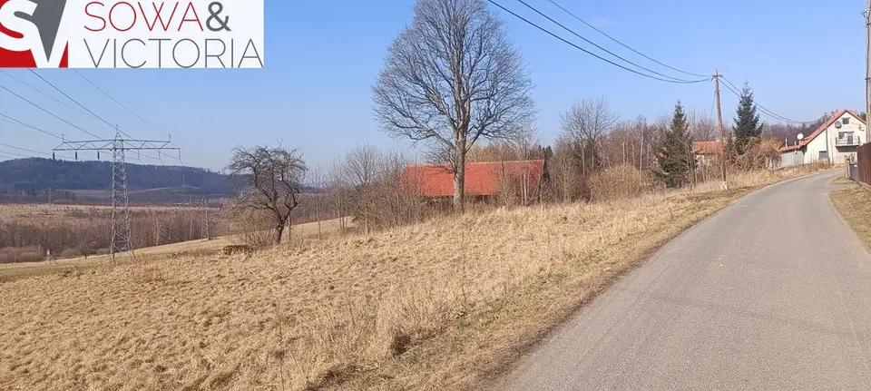 Zdjęcie 6