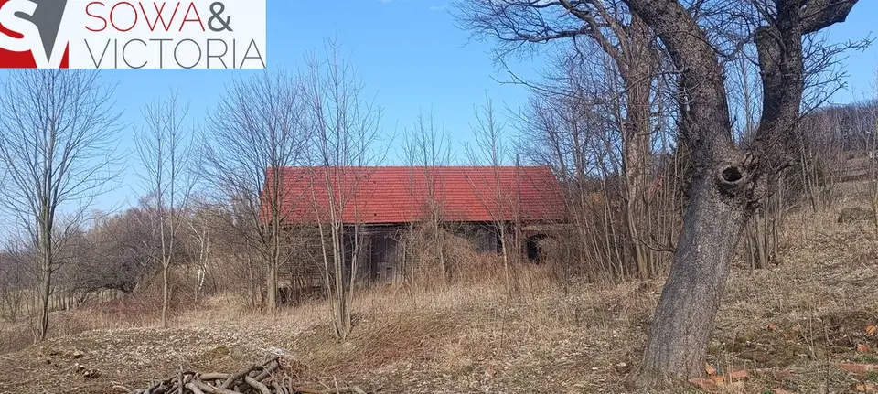 Zdjęcie 7