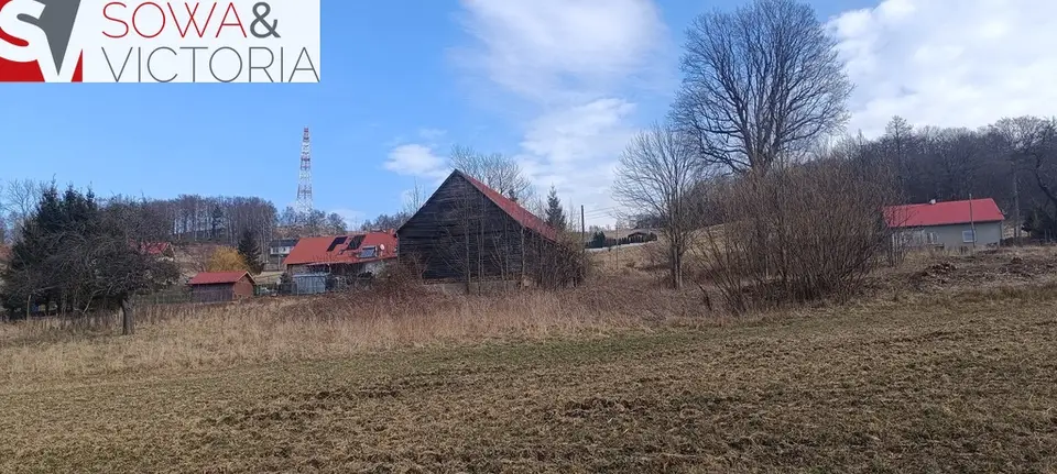 Zdjęcie 8