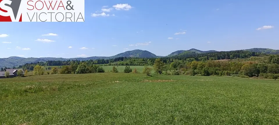 Zdjęcie 9