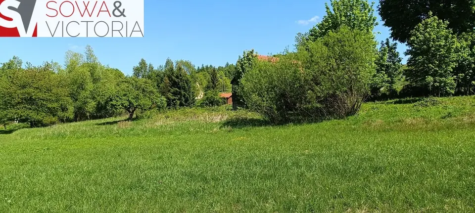 Zdjęcie 10