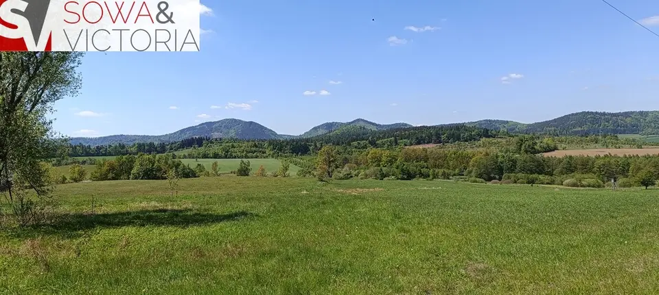 Zdjęcie 11