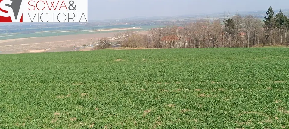 Zdjęcie 2