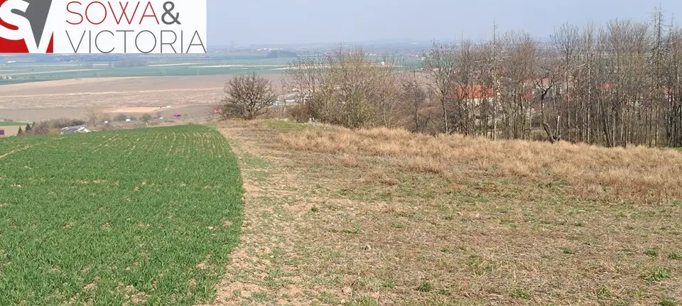 Zdjęcie 4