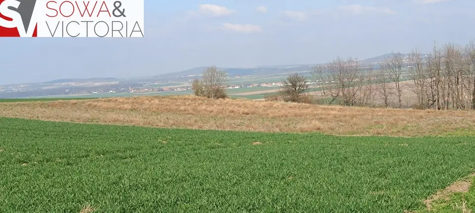 Zdjęcie 6