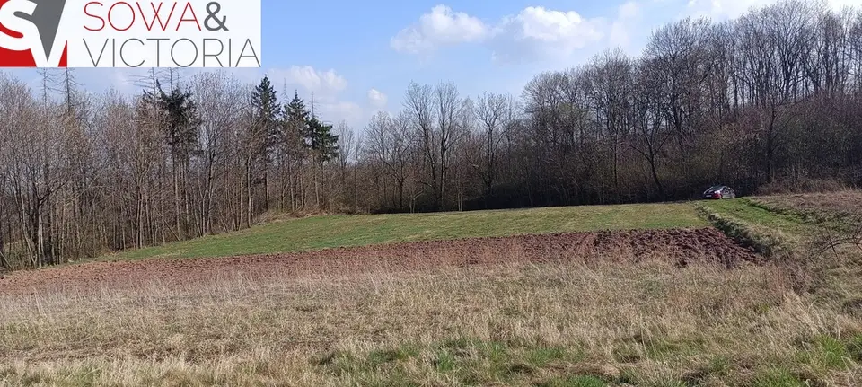 Zdjęcie 8