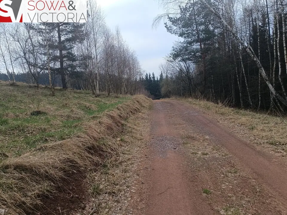 Działka rolna 5 216 m², Grzędy