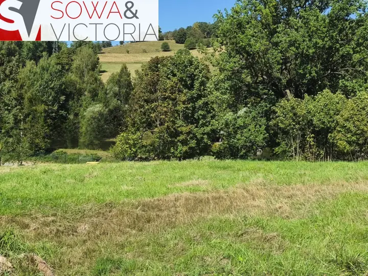 Zdjęcie 5