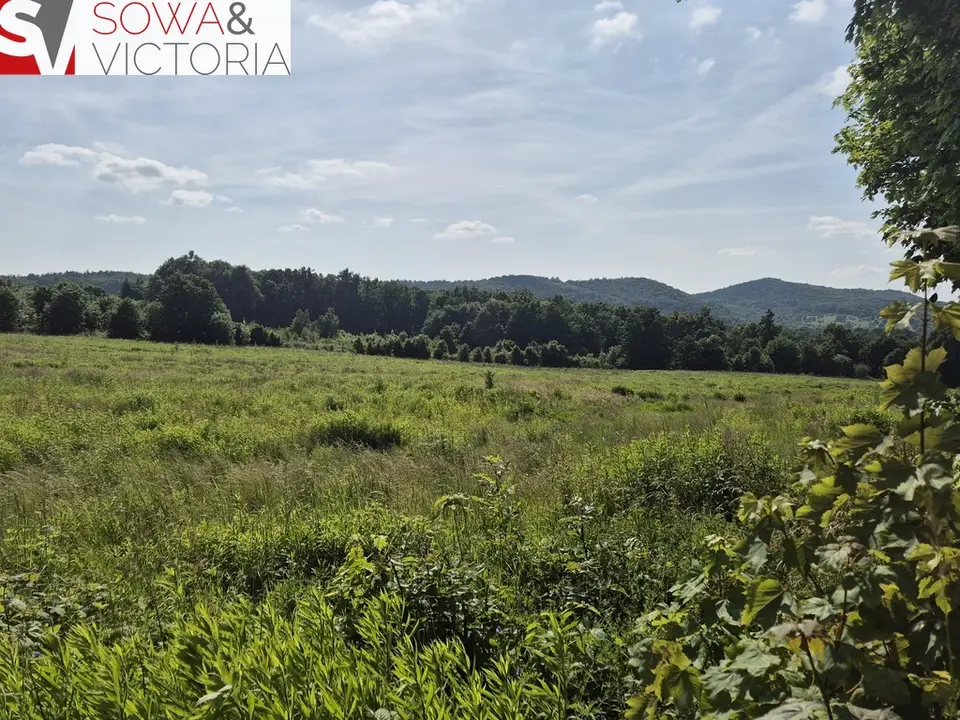 Działka budowlana 1 426 m², Dziećmorowice, Nowy Julianów