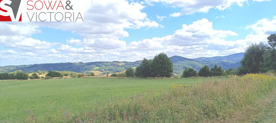 Działka budowlana 3 000 m², Niedźwiedzica