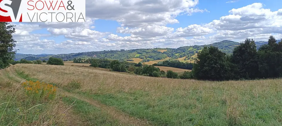 Zdjęcie 4