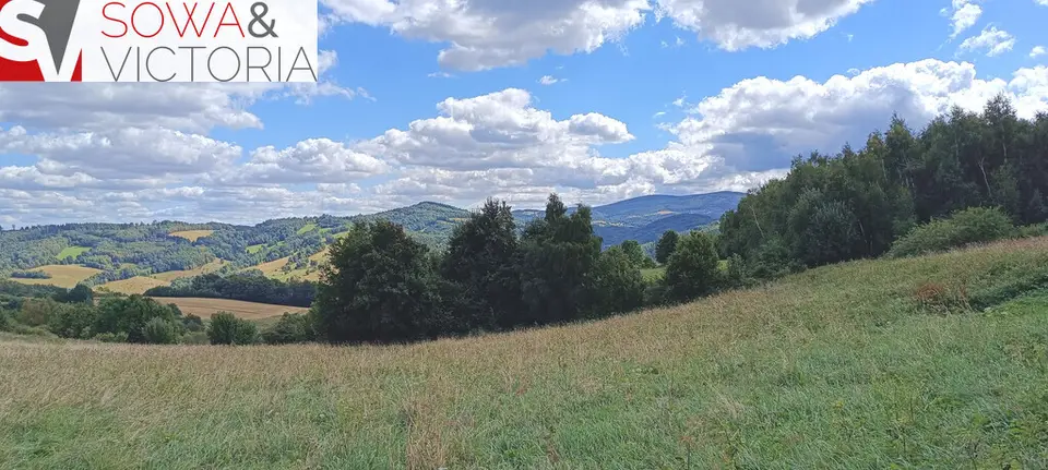 Zdjęcie 5