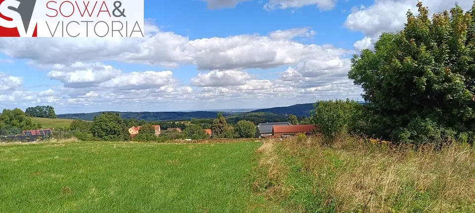 Zdjęcie 6