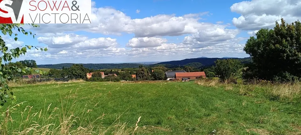 Zdjęcie 7