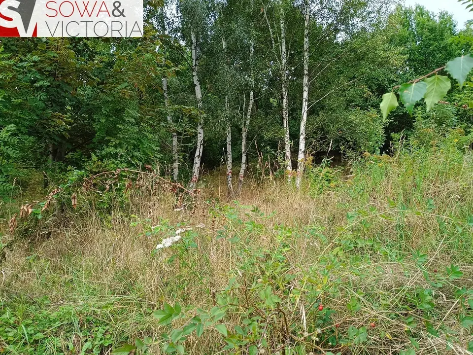 Zdjęcie 2
