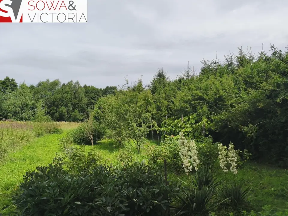 Działka budowlana 4 900 m², Dziećmorowice