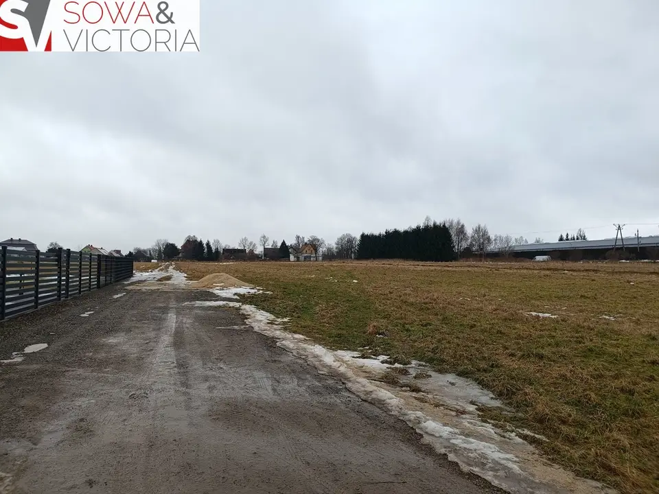Zdjęcie 5