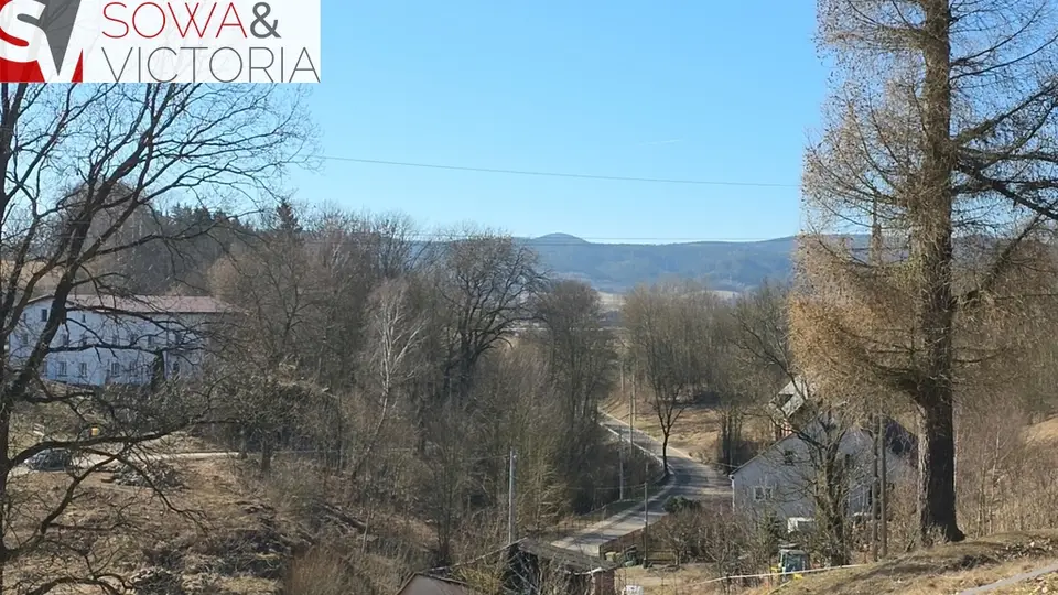 Zdjęcie 3