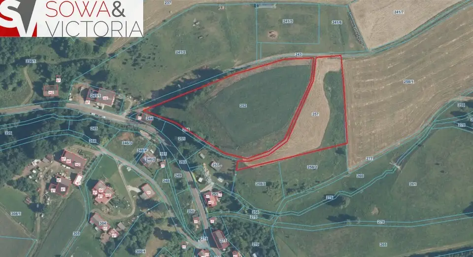 Zdjęcie 11